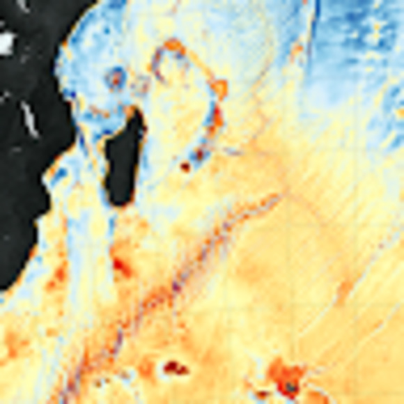 Meet your Posher, Laura - Picture 1 of 1